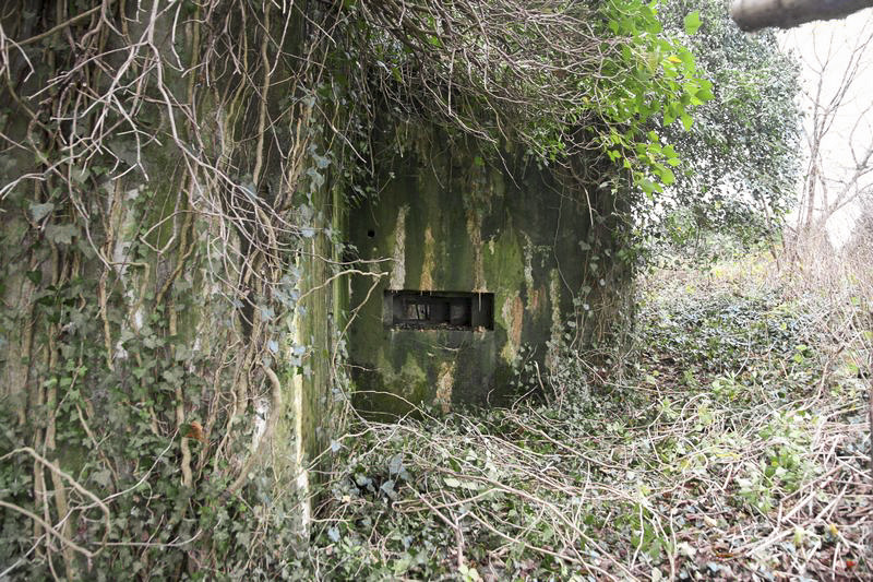Ligne Maginot - KOEPFEL - (Blockhaus pour arme infanterie) -  - GRUBER Franck