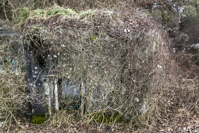 Ligne Maginot - SCHWARZLACH 4 (Blockhaus pour arme infanterie) -  - Les Gardiens du Rhin