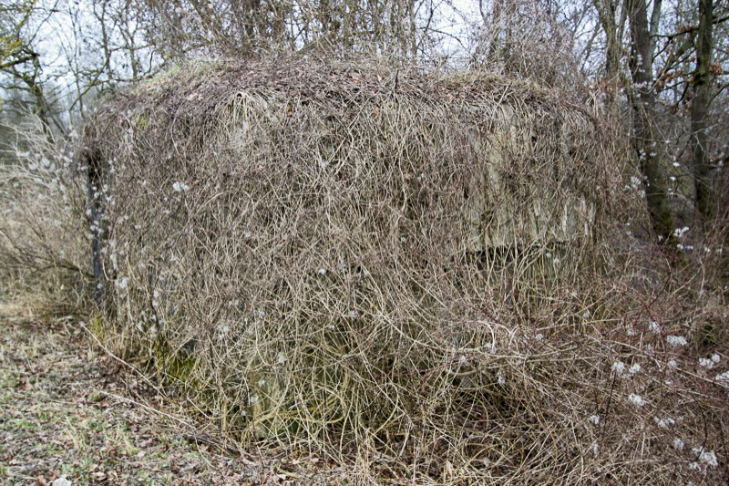 Ligne Maginot - SCHWARZLACH 4 (Blockhaus pour arme infanterie) - 