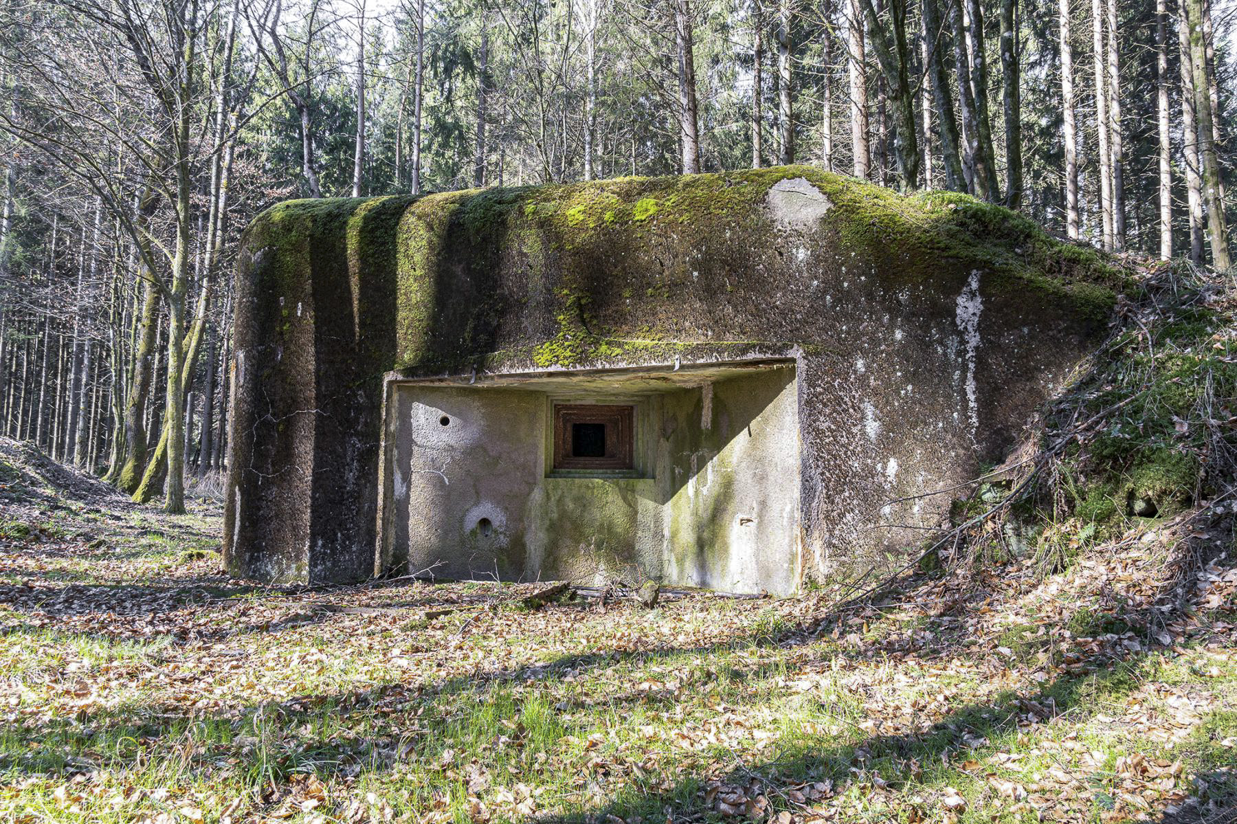 Ligne Maginot - SAEGEMUHLE - (Blockhaus pour arme infanterie) - Chambre de tir est - David Palmer