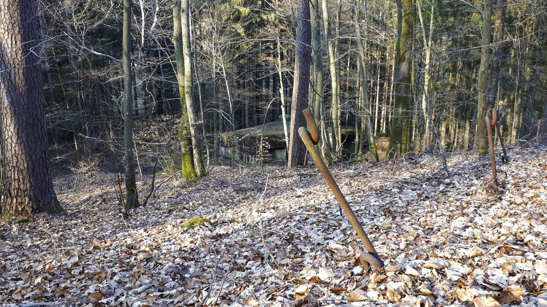 Ligne Maginot - SAEGEMUHLE - (Blockhaus pour arme infanterie) - Réseau barbelés