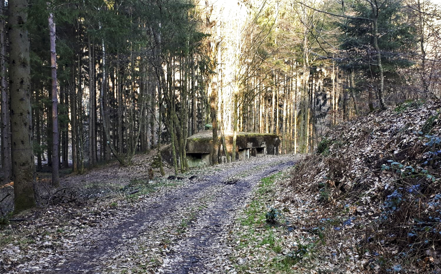 Ligne Maginot - SAEGEMUHLE - (Blockhaus pour arme infanterie) - Le blockhaus vu depuis l'extrémité du vallon de Guensthal, à l'ouest