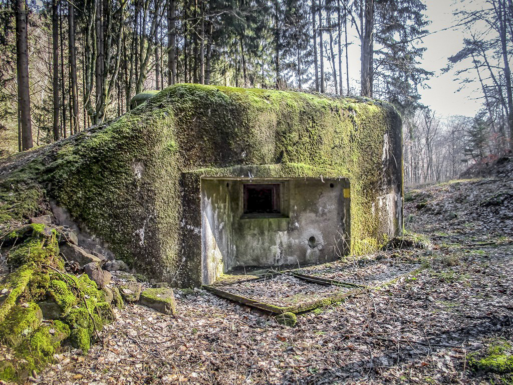 Ligne Maginot - SAEGEMUHLE - (Blockhaus pour arme infanterie) - Chambre de tir Ouest, avec ses volets de camouflage au sol