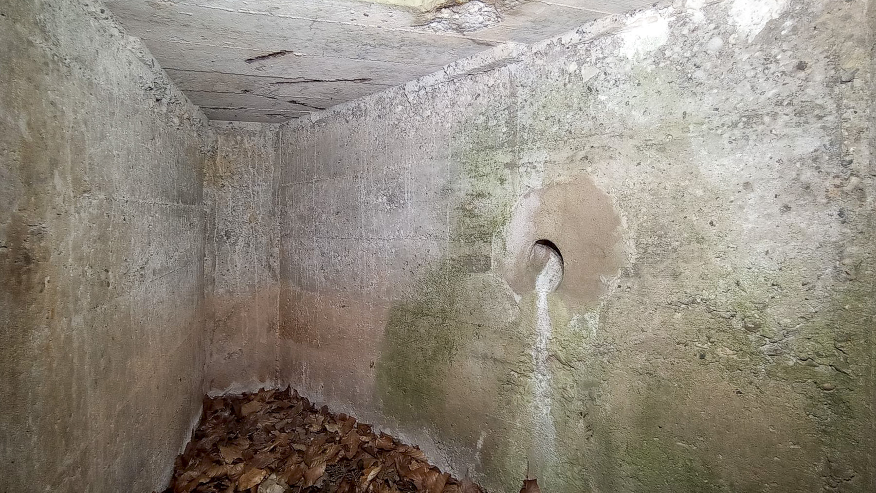 Ligne Maginot - SAEGEMUHLE - (Blockhaus pour arme infanterie) - Fosse d'évacuation des douilles de la chambre de tir Ouest 