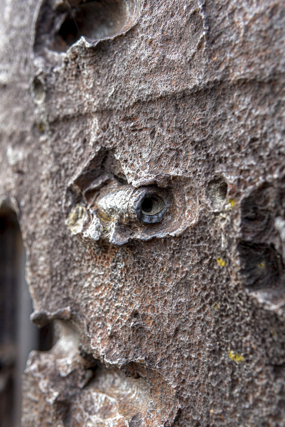 Ligne Maginot - 35/3 - MARCKOLSHEIM SUD - (Casemate d'infanterie - Double) - Cloche GFM - David Palmer