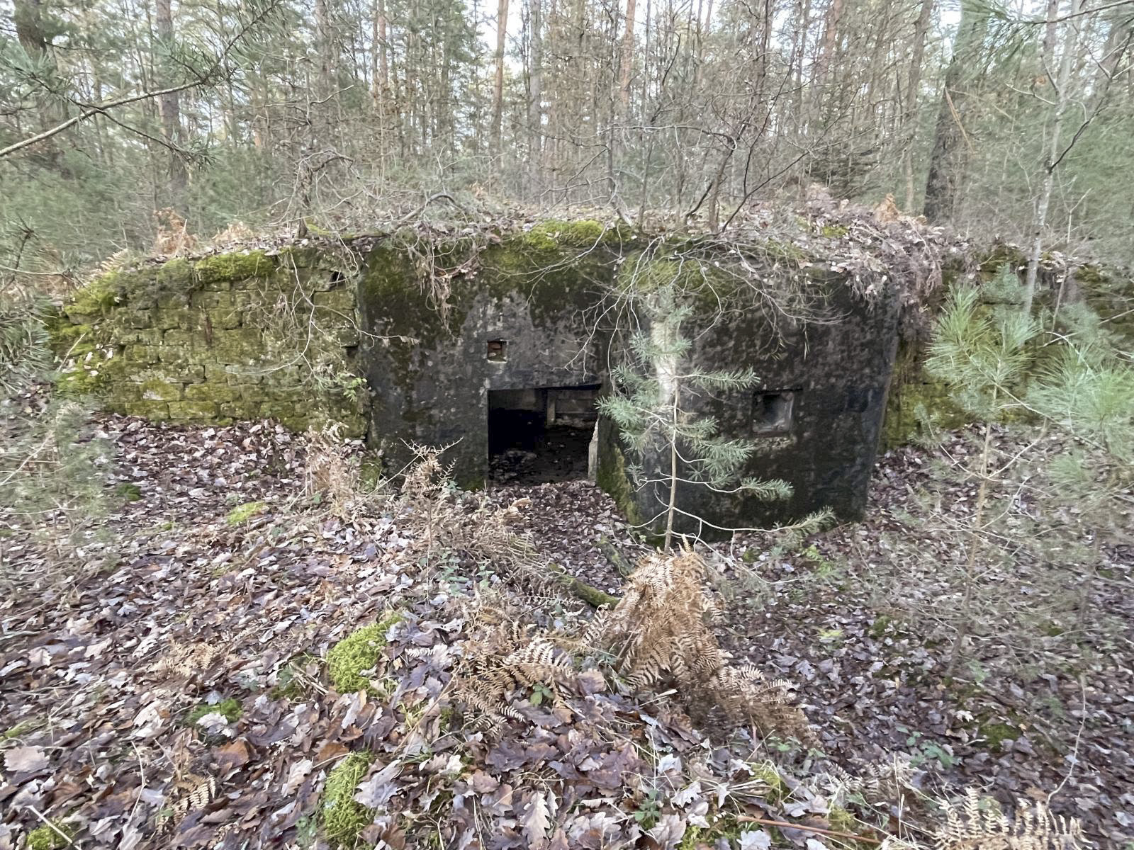 Ligne Maginot - MAIN DU PRINCE 1 - (Blockhaus pour canon) - L'entrée du matériel à gauche de la caponnière - DEVILLIÉ Stephane 