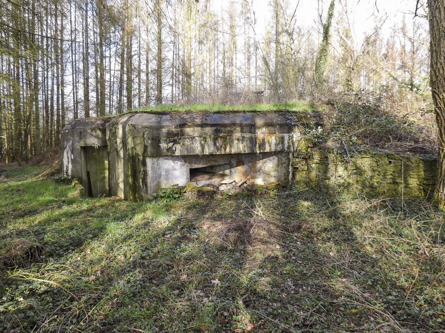 Ligne Maginot - BB7 - (Blockhaus pour canon) - La façade de tir de flanquement vers la droite. A gauche se distingue l'entrée du blockhaus. - STENGER Mathieu