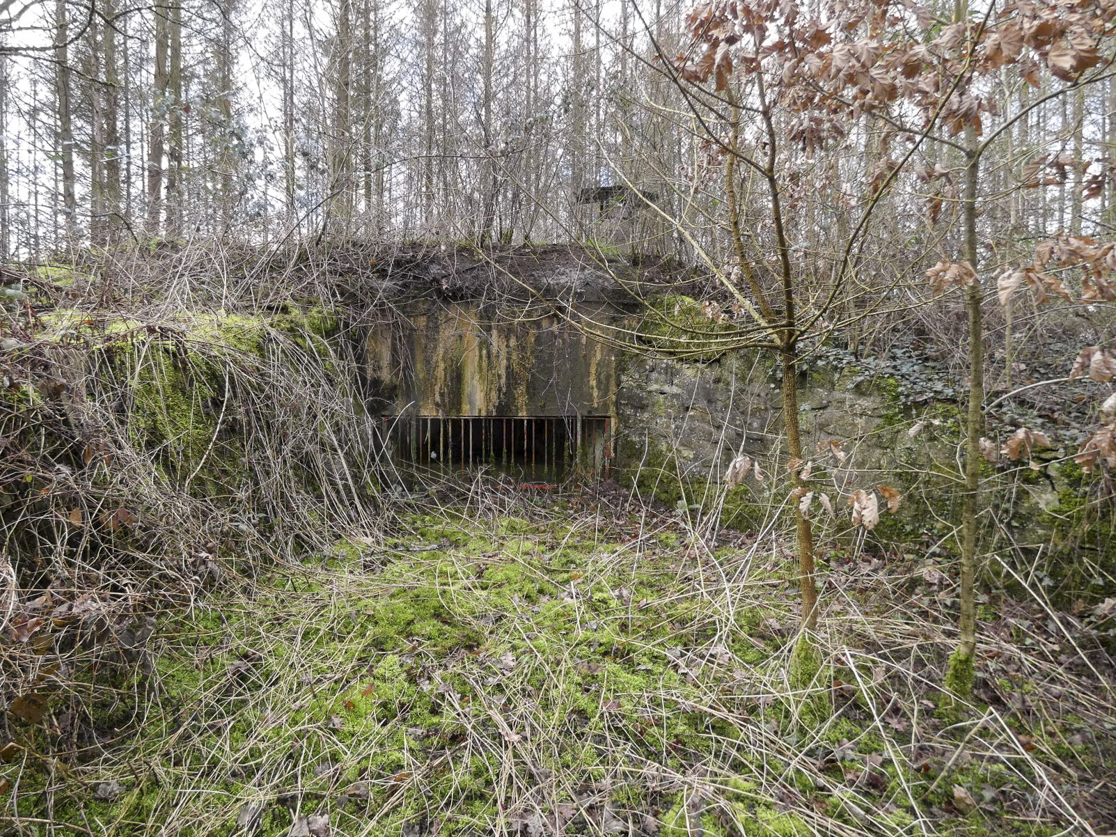 Ligne Maginot - BB7 - (Blockhaus pour canon) - Le créneau frontal pour un canon anti-char de 47mm. - STENGER Mathieu