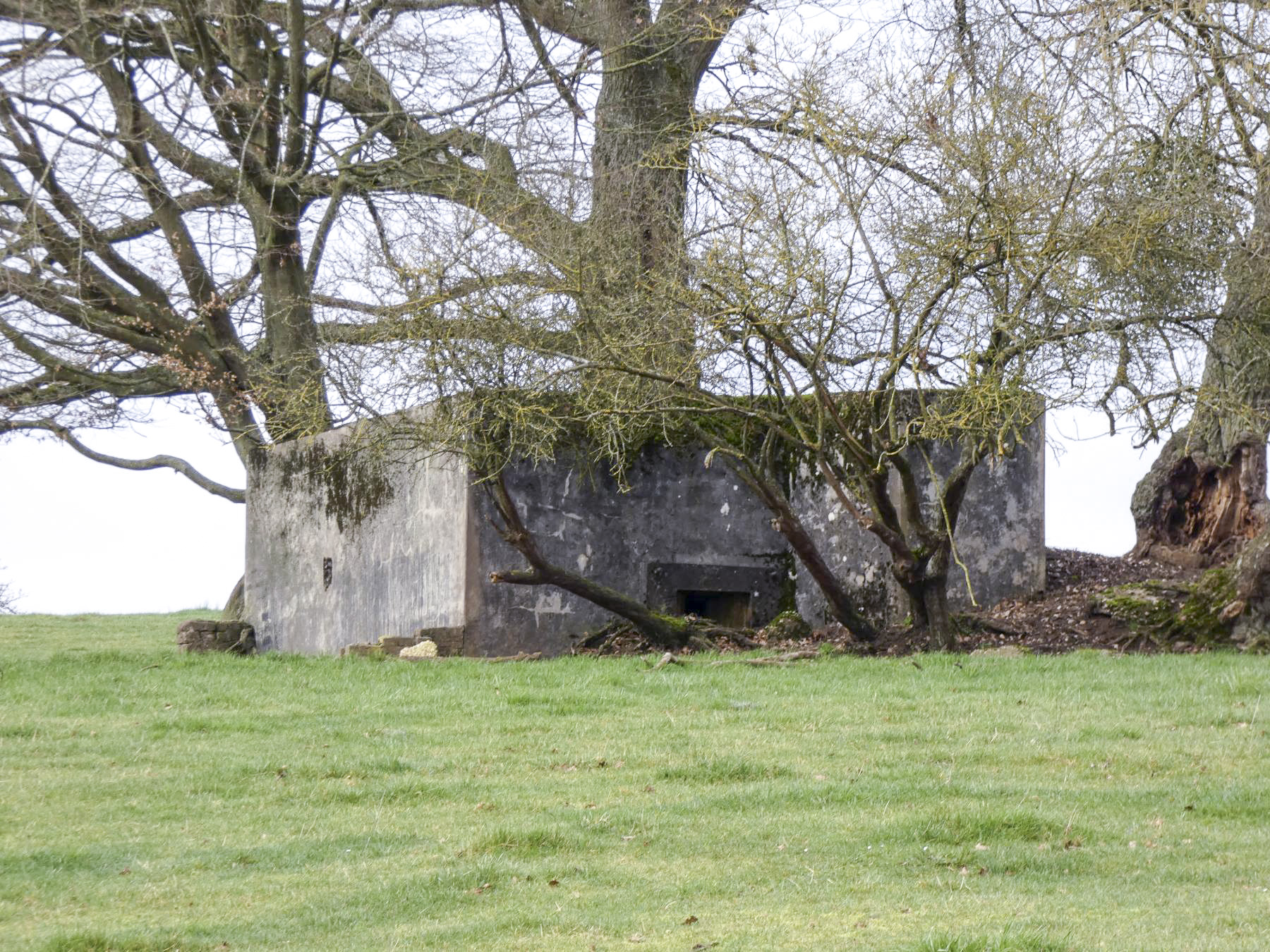 Ligne Maginot - STERNBUSCH - (Blockhaus pour arme infanterie) - Le blockhaus vu depuis le chemin de la Kreschmühl. - STENGER Mathieu