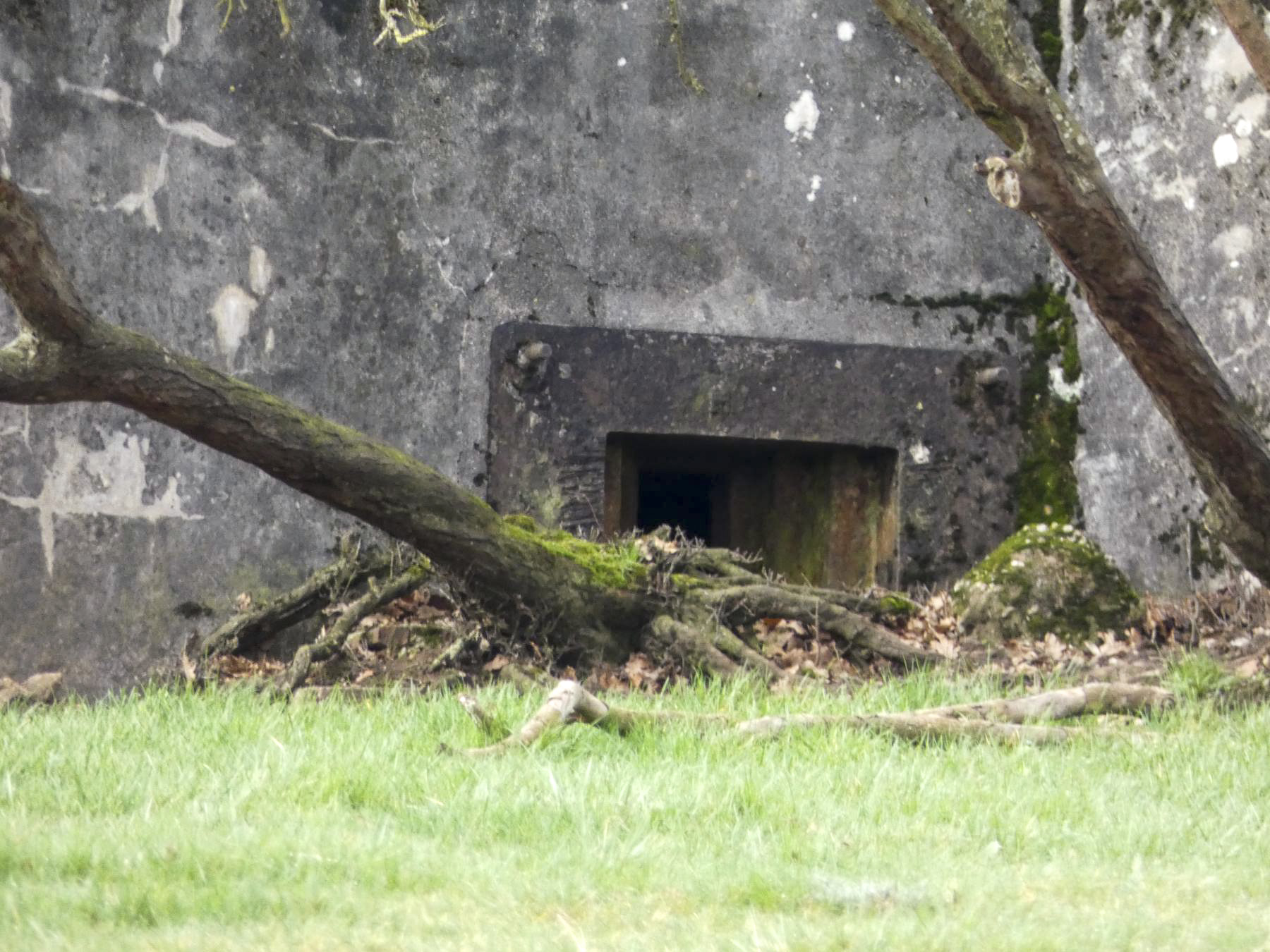Ligne Maginot - STERNBUSCH - (Blockhaus pour arme infanterie) - L'embrasure et la trémie pour mitrailleuse. - STENGER Mathieu