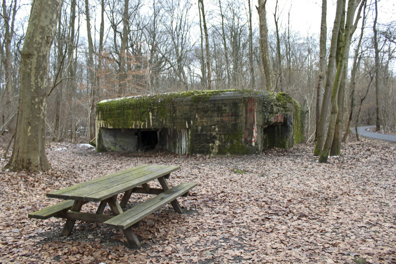 Ligne Maginot - 21 - LESERWOERTH - (Casemate d'infanterie - Simple) - Vue générale