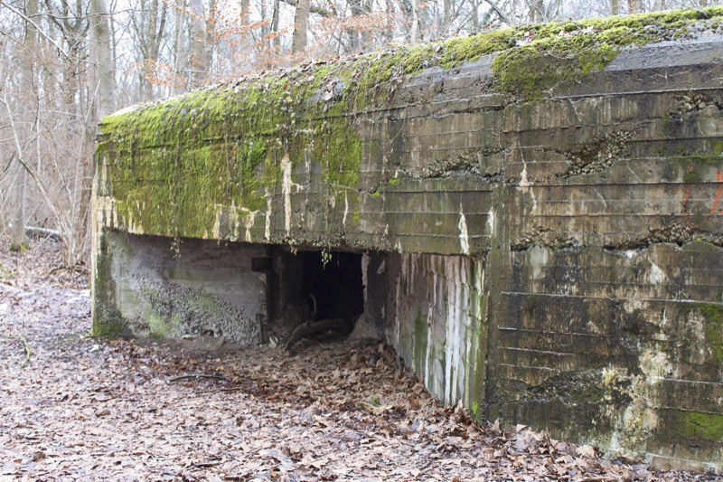 Ligne Maginot - 21 - LESERWOERTH - (Casemate d'infanterie - Simple) - Créneau sud-ouest
