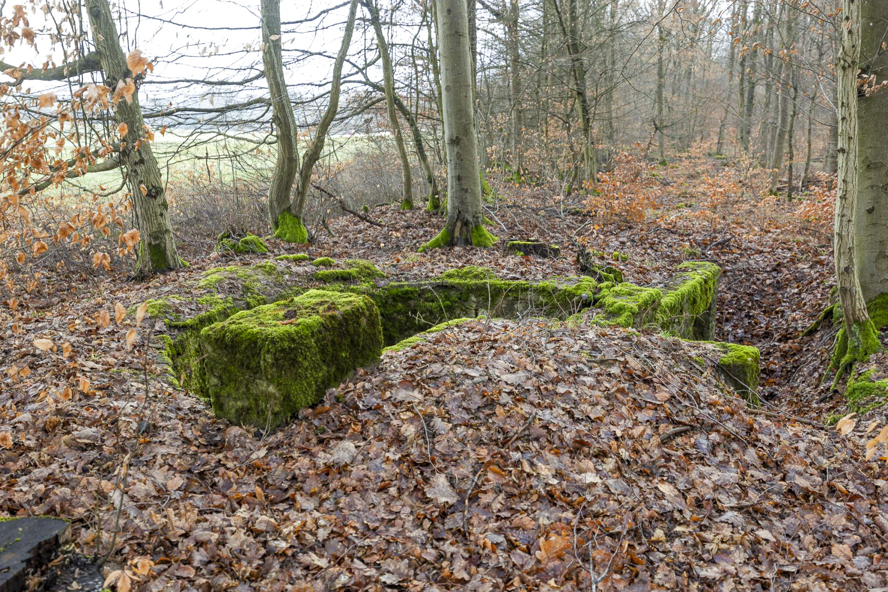 Ligne Maginot - BANNWALD 1 - (Cuve pour arme d'infanterie) -  - Lenhard Christian