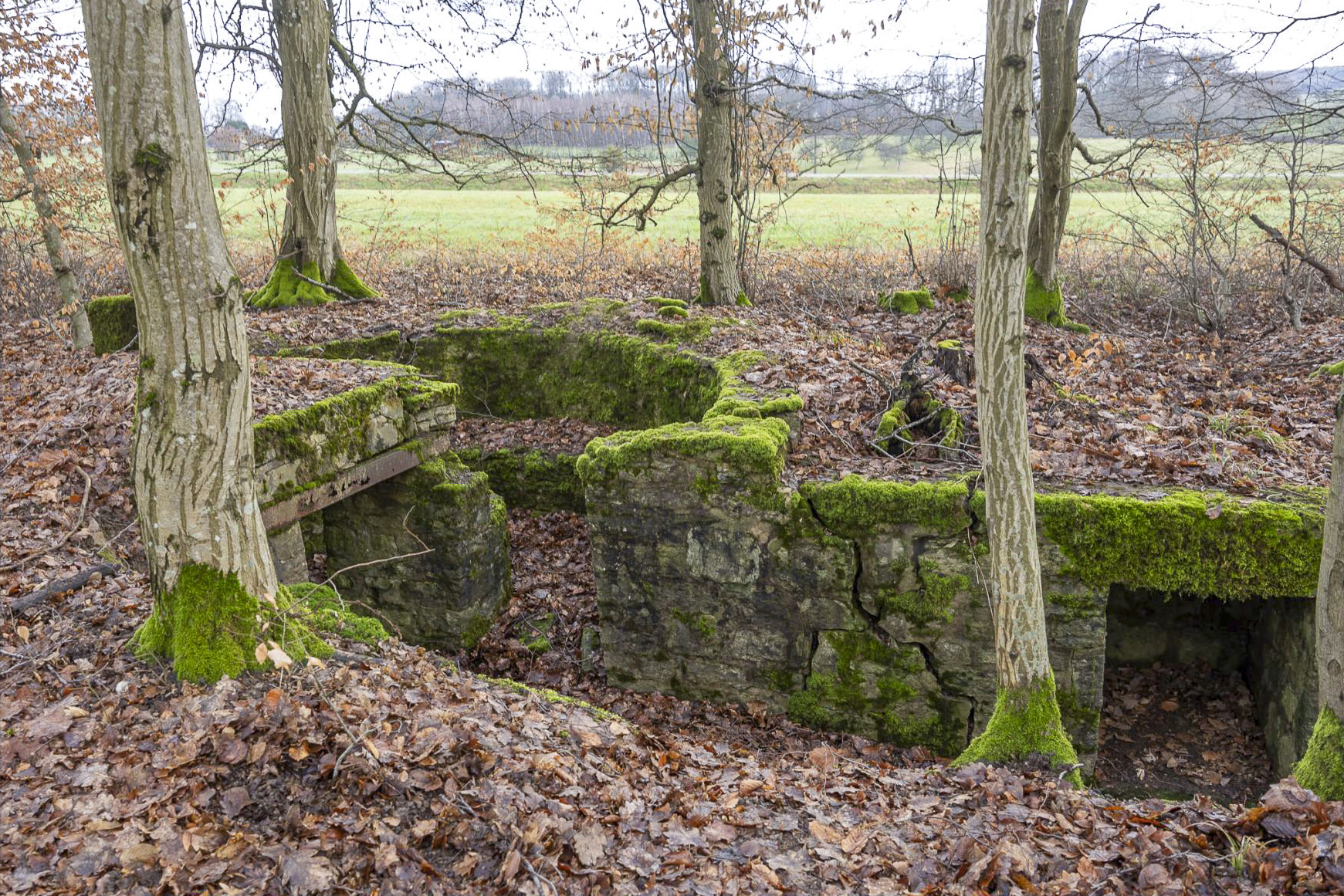 Ligne Maginot - BANNWALD 1 - (Cuve pour arme d'infanterie) -  - Lenhard Christian