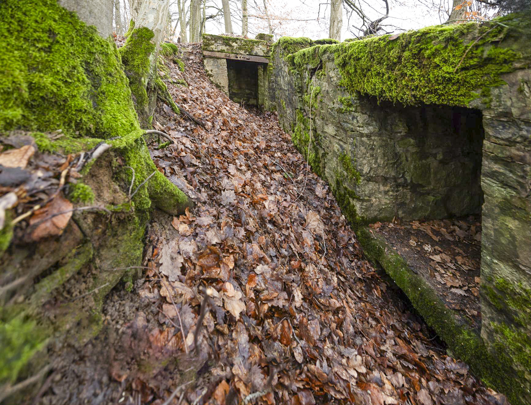 Ligne Maginot - BANNWALD 1 - (Cuve pour arme d'infanterie) -  - Lenhard Christian