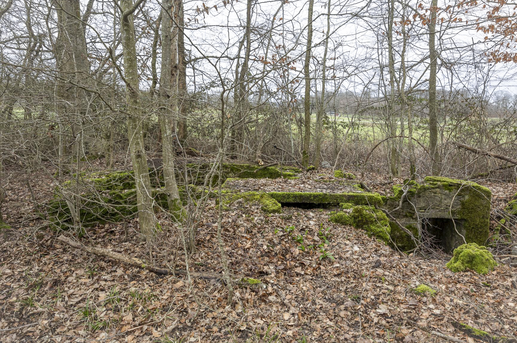 Ligne Maginot - BANNWALD 2 - (Cuve pour arme d'infanterie) - Vue d'ensemble  - Lenhard Christian