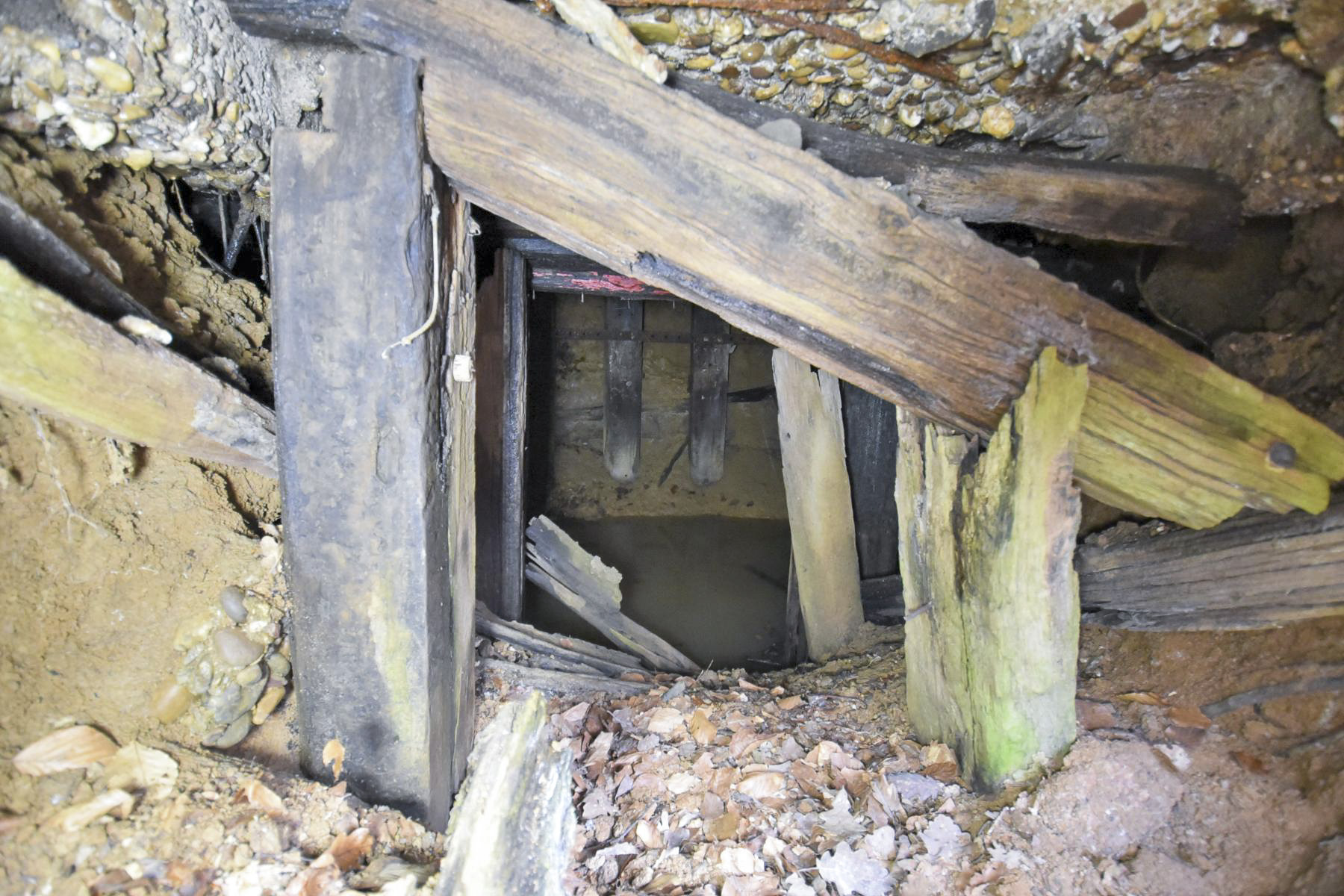 Ligne Maginot - PFAFFENKLAUSERBUSCH - (Abri) -  - Ludovic KNAPP