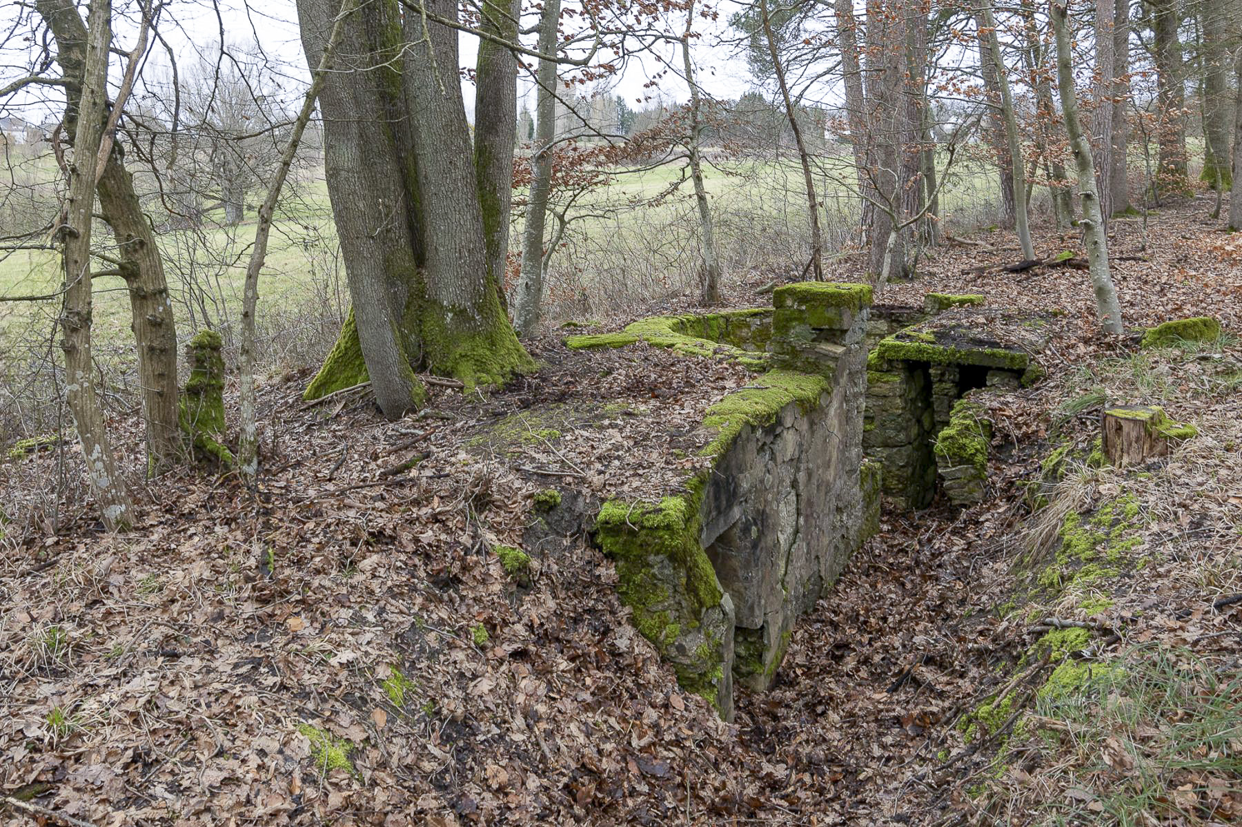 Ligne Maginot - BANNWALD 3 - (Cuve pour arme d'infanterie) - Vue d'ensemble - Lenhard Christian