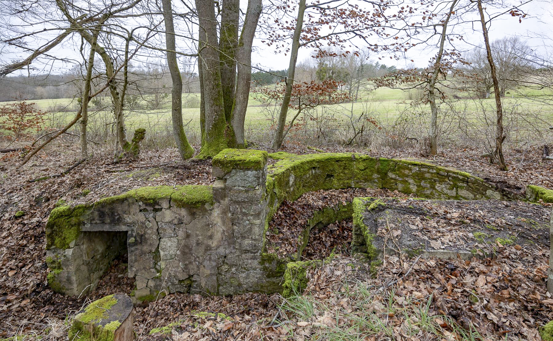 Ligne Maginot - BANNWALD 3 - (Cuve pour arme d'infanterie) -  - Lenhard Christian