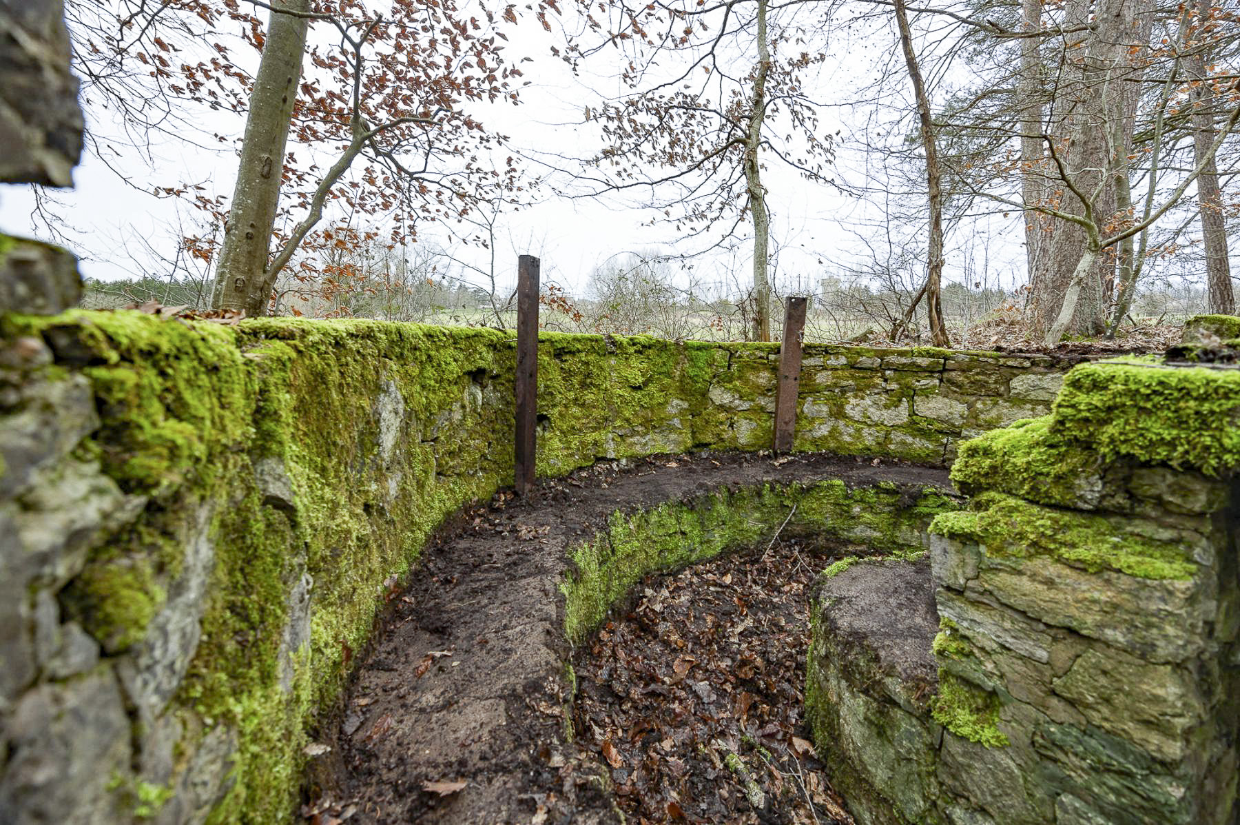 Ligne Maginot - BANNWALD 3 - (Cuve pour arme d'infanterie) -  - Lenhard Christian