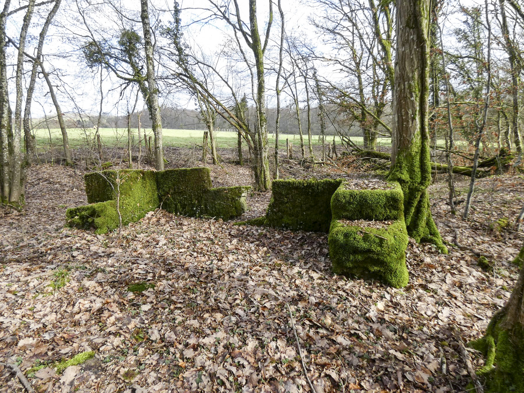 Ligne Maginot - PFAFFENKLAUSERBUSCH 2 - (Blockhaus pour arme infanterie) - Un bouclier pour une arme d'infanterie. - STENGER Mathieu