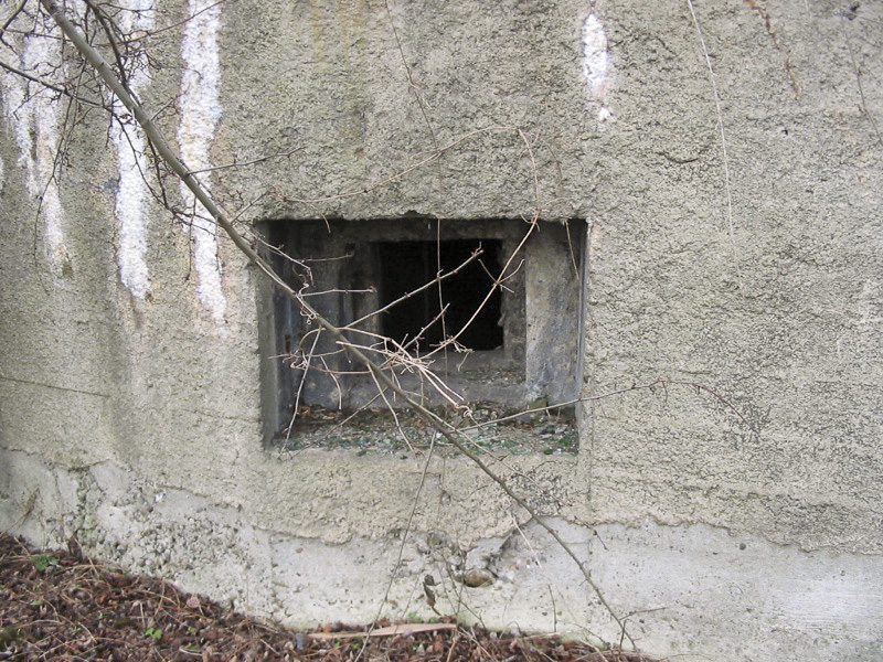 Ligne Maginot - 412G - STAND DE TIR DESAIX - (Blockhaus pour arme infanterie) - Vue des créneaux