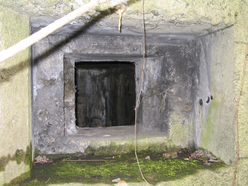 Ligne Maginot - 412G - STAND DE TIR DESAIX - (Blockhaus pour arme infanterie) - Vue des créneaux