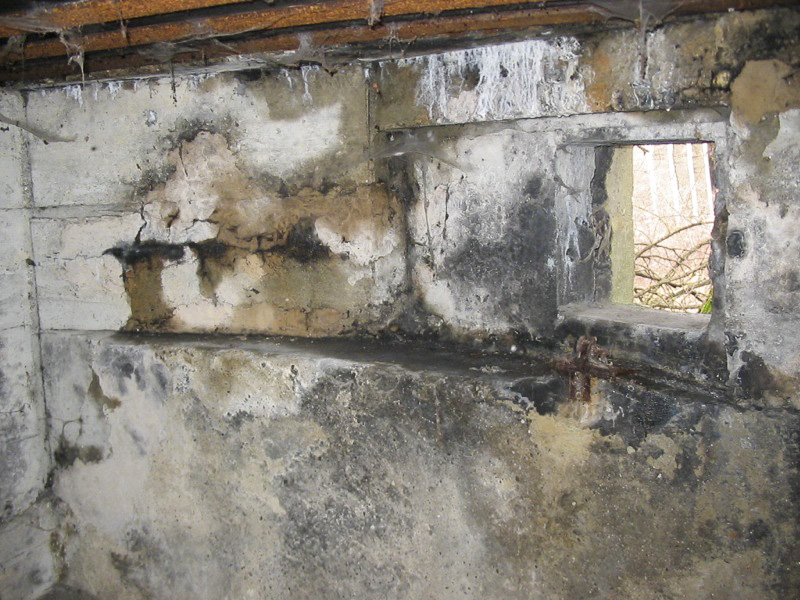 Ligne Maginot - 412G - STAND DE TIR DESAIX - (Blockhaus pour arme infanterie) - Vue des créneaux - Antoine SCHOEN
