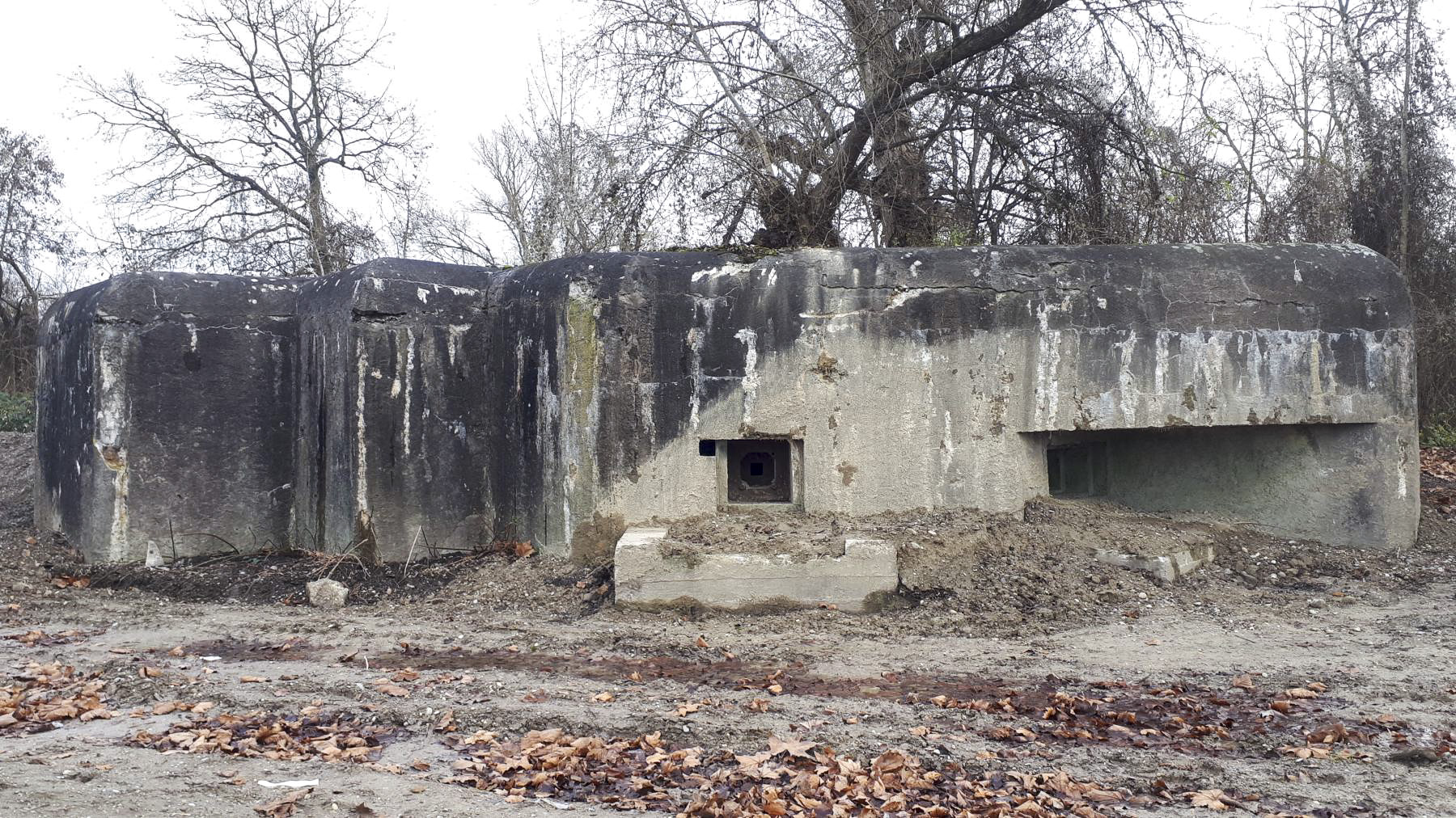 Ligne Maginot - 415 - RIEBEL - (Casemate d'infanterie) - Façade Ouest - Les Gardiens du Rhin