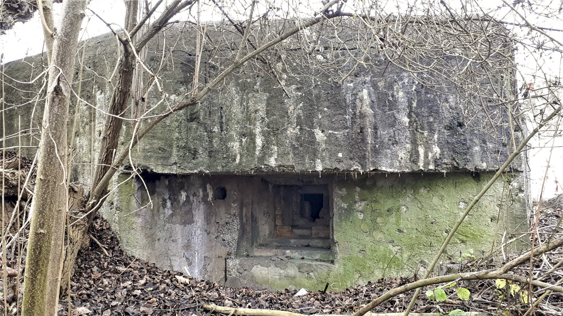 Ligne Maginot - 415 - RIEBEL - (Casemate d'infanterie) - Chambre de tir Nord
Créneau mitrailleuse