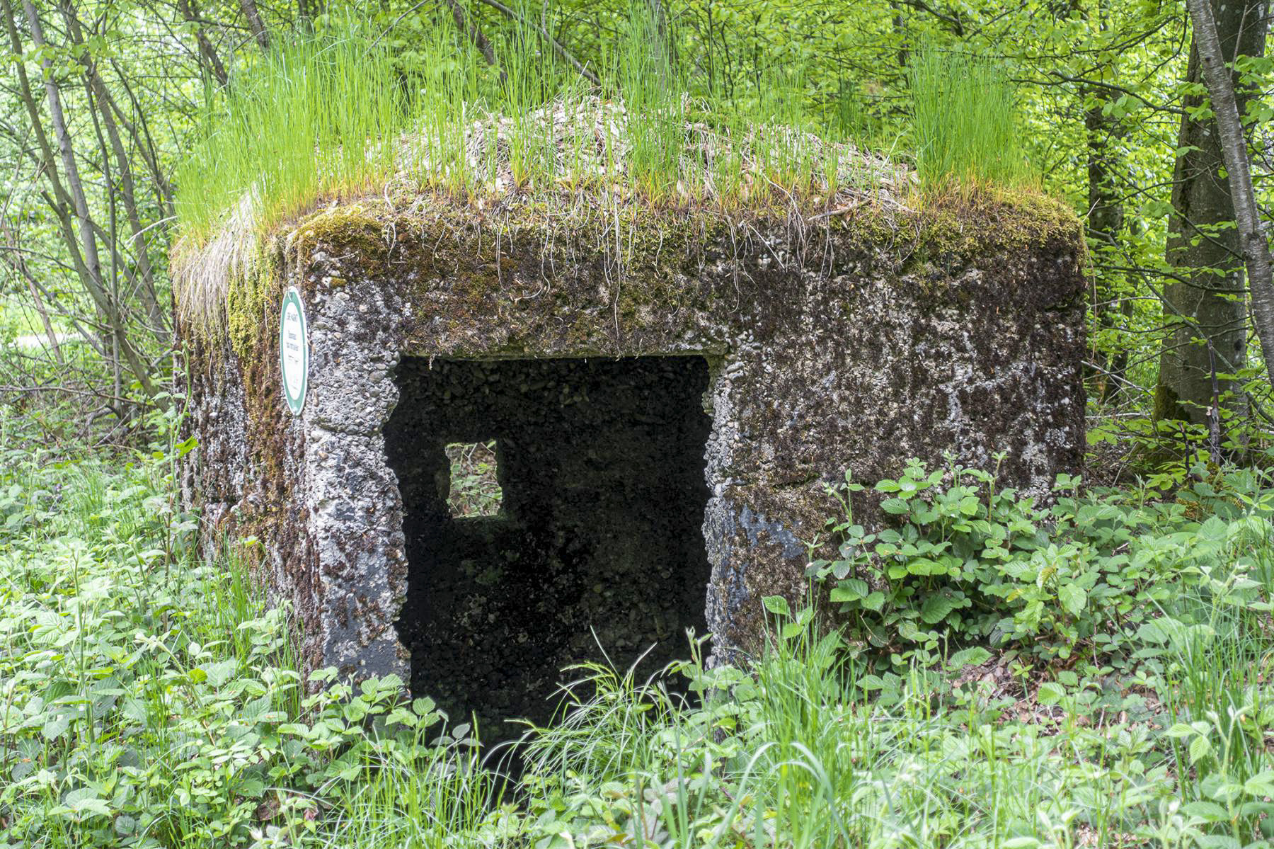 Ligne Maginot - LEGERET NORD 5 - GM2 - (Blockhaus pour arme infanterie) -  - David Palmer