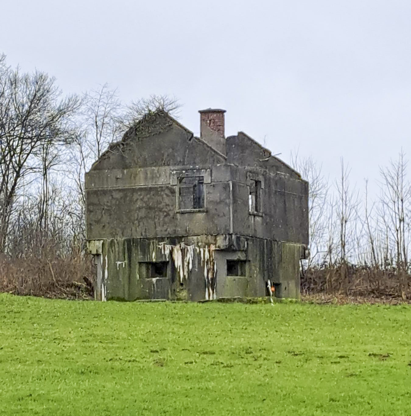 Ligne Maginot - MF21 - X - MOGUES - (Poste GRM - Maison Forte) - État février 2024 - ANDRE Philippe