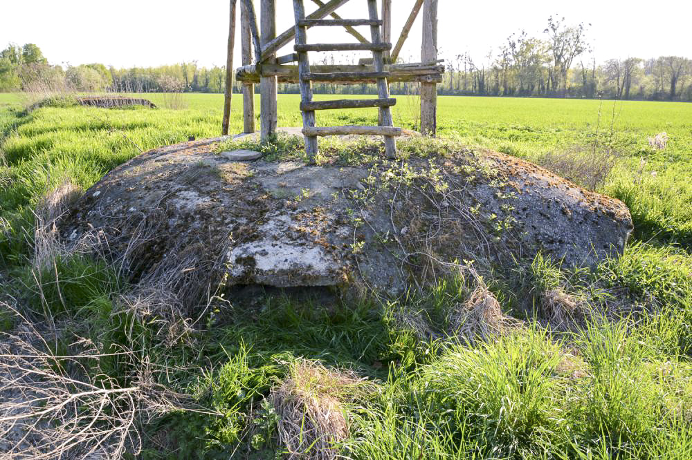 Ligne Maginot - COUR D'ANGLETERRE 1 - (Blockhaus pour arme infanterie) - Vue du second créneau