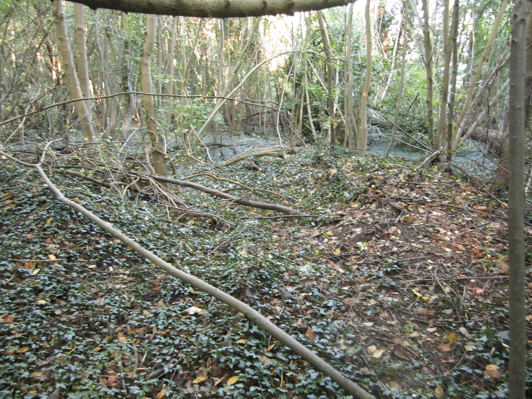 Ligne Maginot - FEIL 3 - (Blockhaus de type indeterminé) - Emplacement d'abri léger en tôle métro