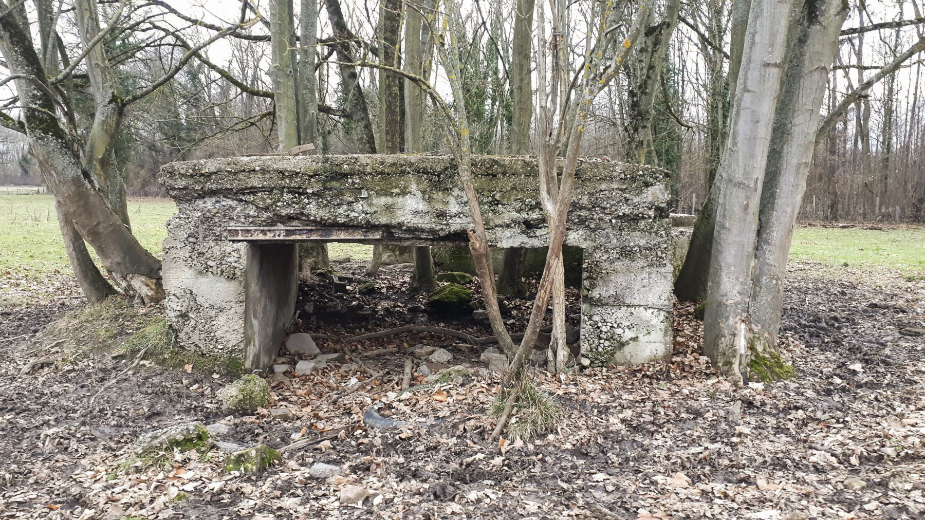 Ligne Maginot - GROSSBELTZWOERTH EST - (Blockhaus pour canon) - Vue frontale