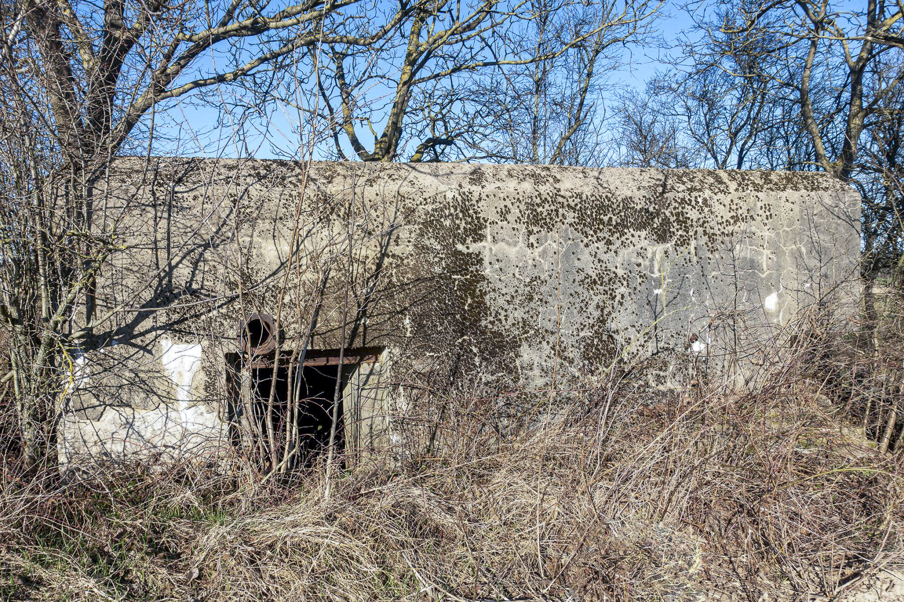 Ligne Maginot - KOHLFELD - (Blockhaus pour canon) - Entrée du personnel - David Palmer