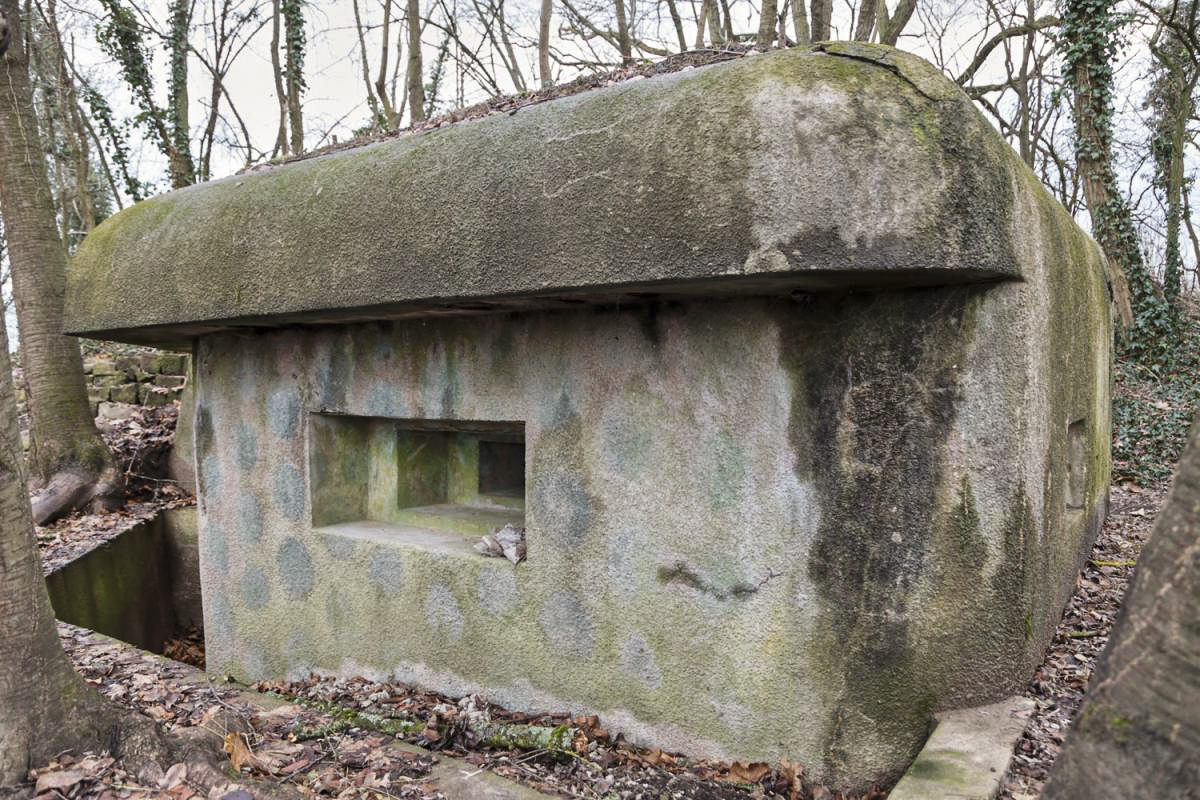Ligne Maginot - I6 - (Blockhaus pour arme infanterie) - Créneaux mitrailleuse de gauche et fossé diamant