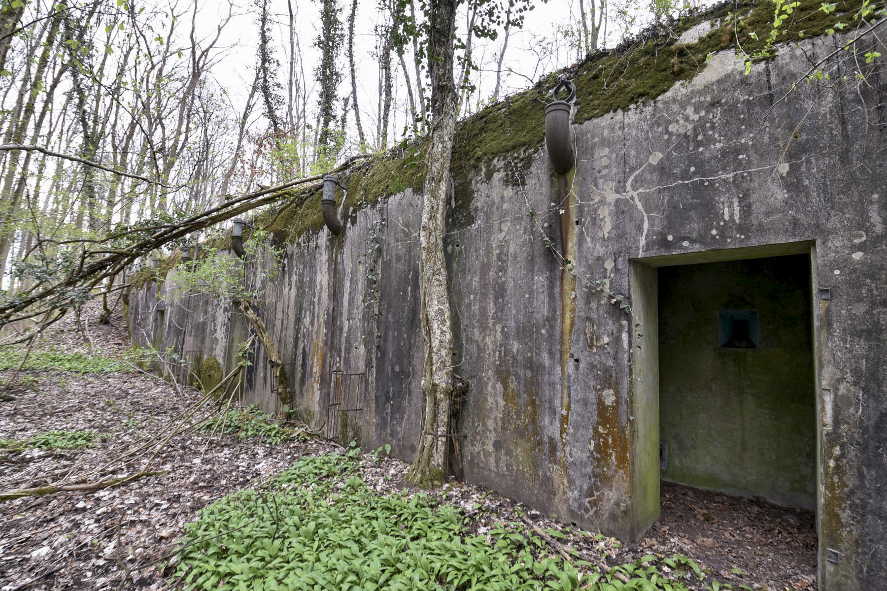 Ligne Maginot - I95 - (Abri) - 