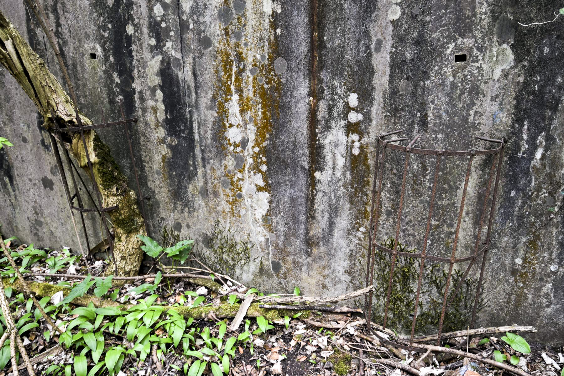 Ligne Maginot - I95 - (Abri) - 