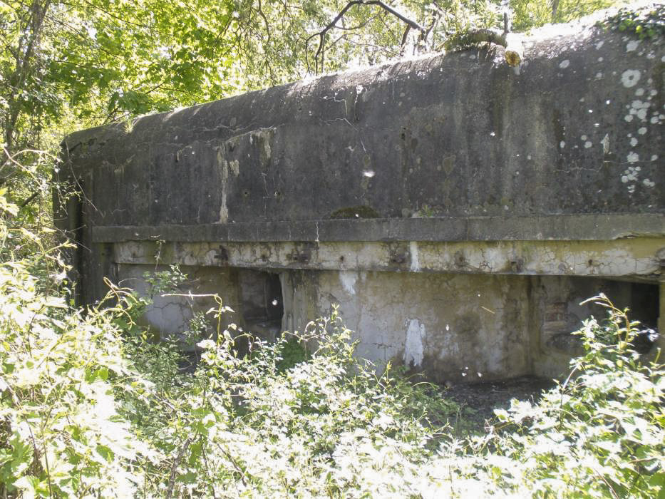 Ligne Maginot - MUSAU - (Casemate d'infanterie - Double) - L'une des chambres de tir - Inconnu