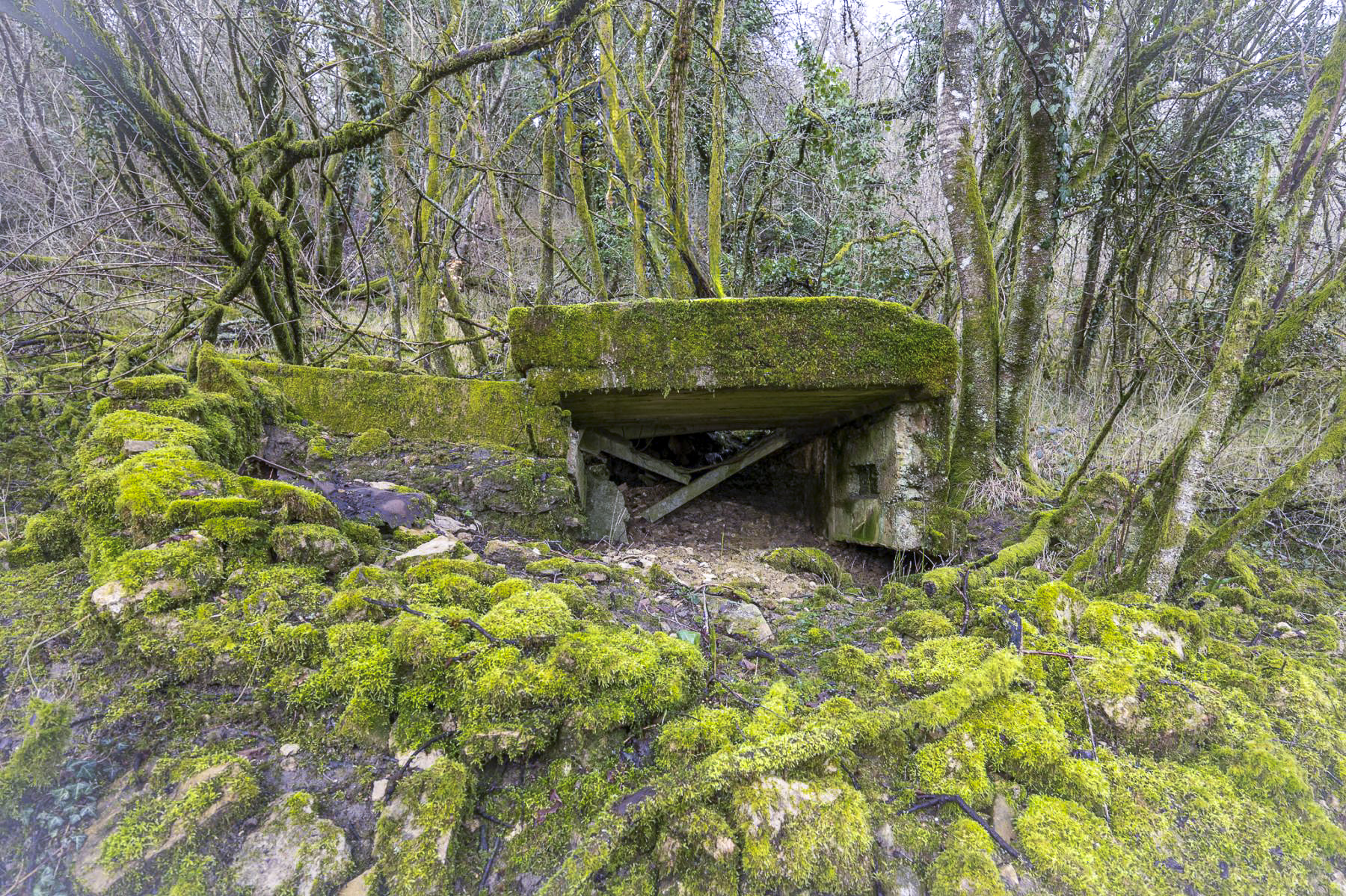 Ligne Maginot - BINING EST - (Blockhaus pour arme infanterie) - Vue d'ensemble  - Lenhard Christian