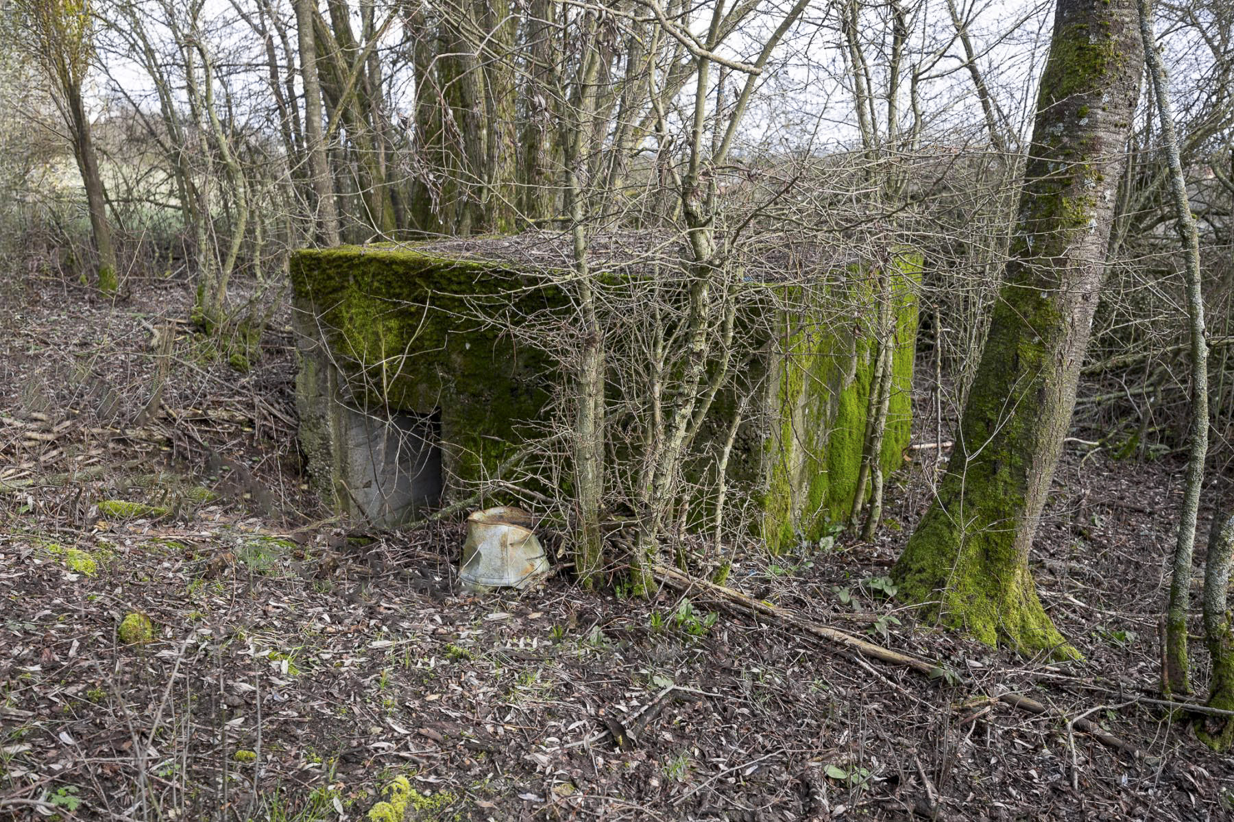 Ligne Maginot - BINING SUD 2 - (Blockhaus pour arme infanterie) -  - Lenhard Christian