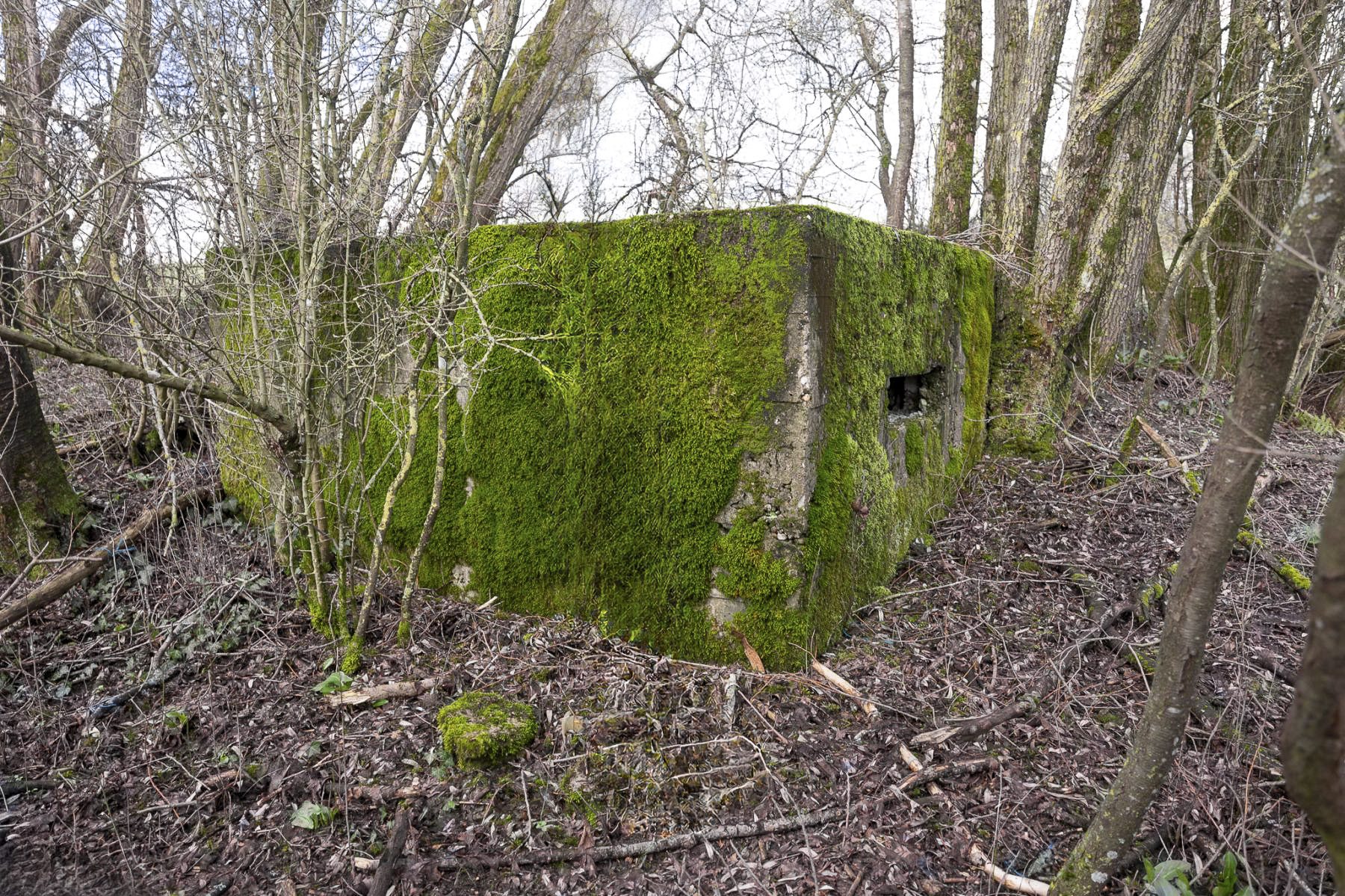 Ligne Maginot - BINING SUD 2 - (Blockhaus pour arme infanterie) -  - Lenhard Christian