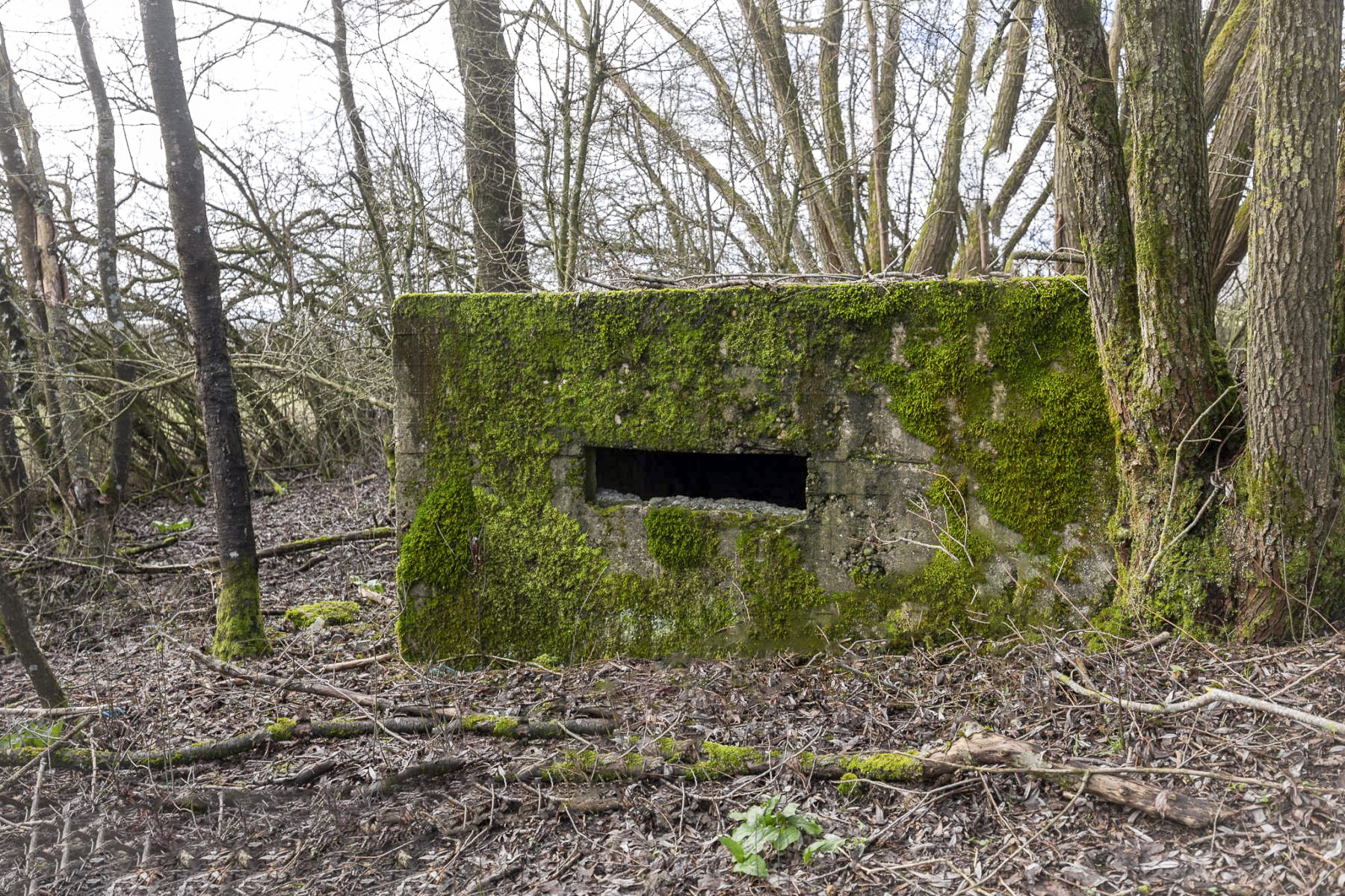 Ligne Maginot - BINING SUD 2 - (Blockhaus pour arme infanterie) -  - Lenhard Christian