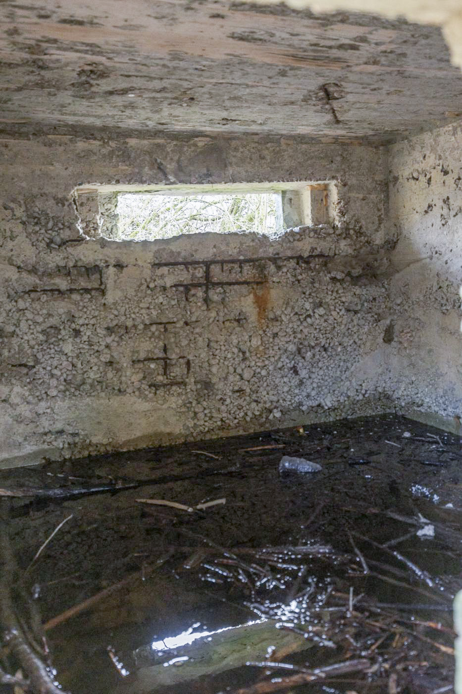 Ligne Maginot - BINING SUD 2 - (Blockhaus pour arme infanterie) -  - Lenhard Christian