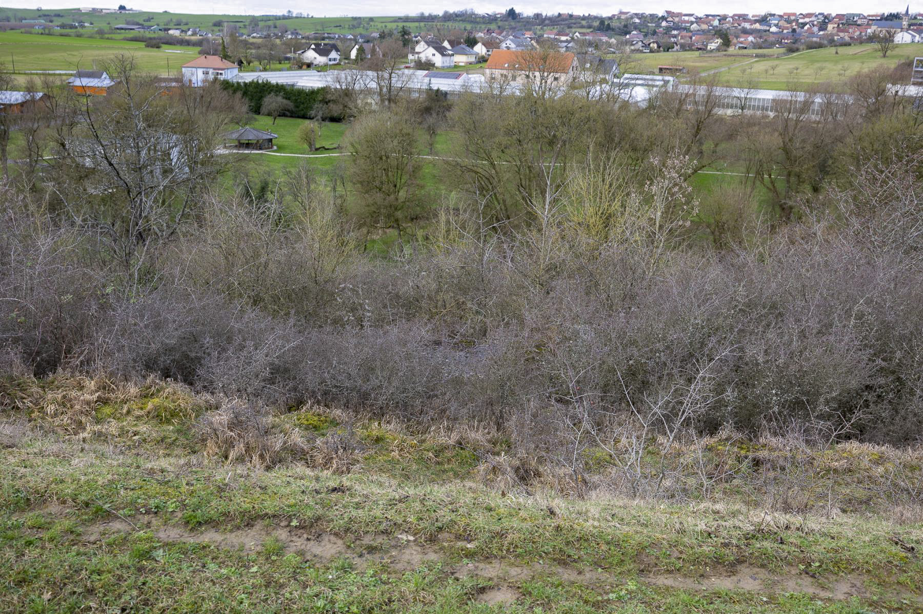 Ligne Maginot - ROHRBACH SUD 3 - (Blockhaus pour arme infanterie) - Caché par une végétation très dense - Lenhard Christian