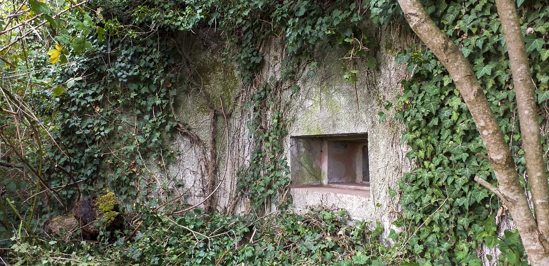 Ligne Maginot - OBSERVATOIRE EST DES CERISIERS - (Blockhaus pour arme infanterie) - Créneau Est (observatoire)