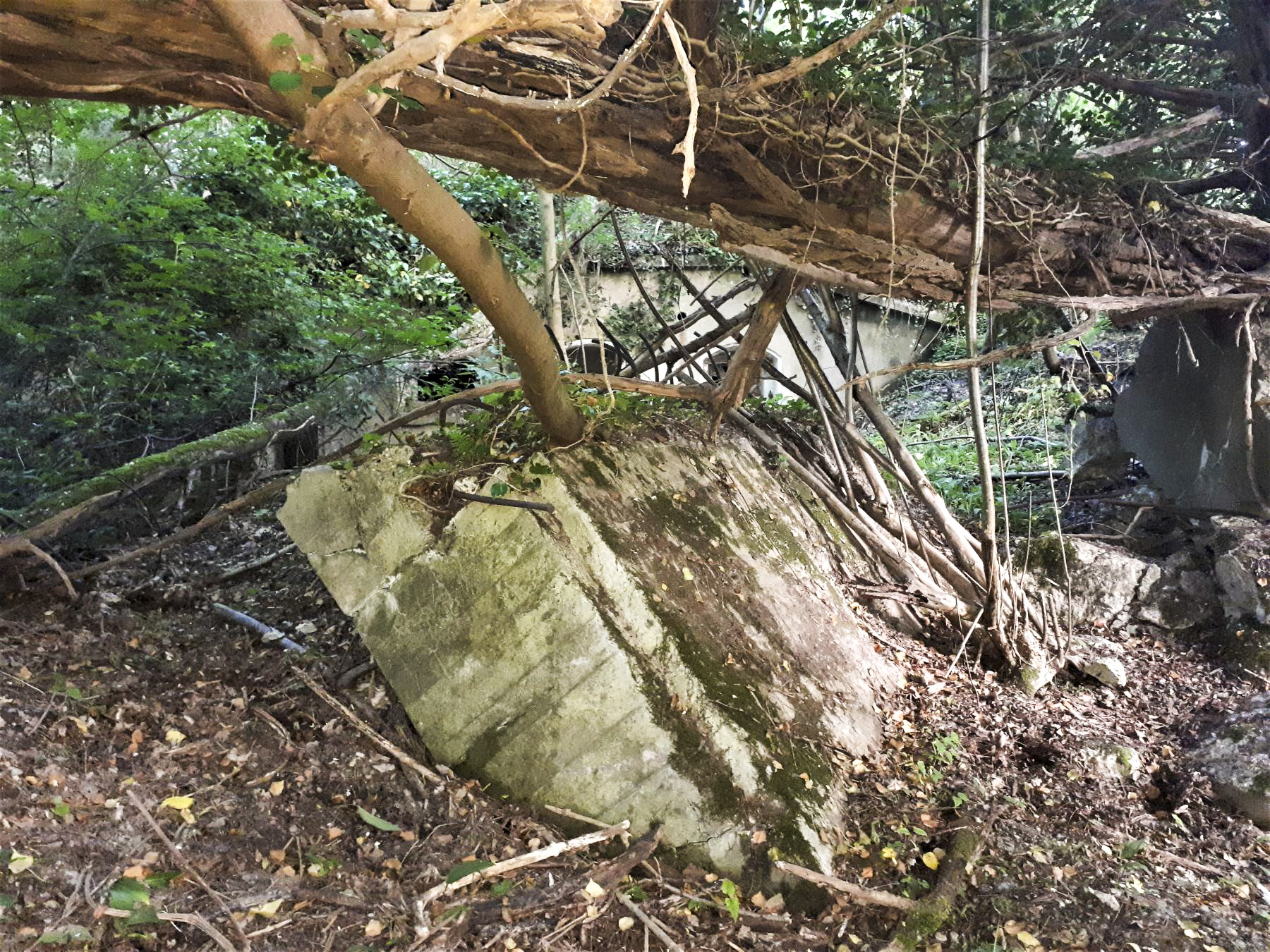 Ligne Maginot - PAYSANS EST  - (Blockhaus de type indéterminé) - Bloc détruit devant l'abri A 75