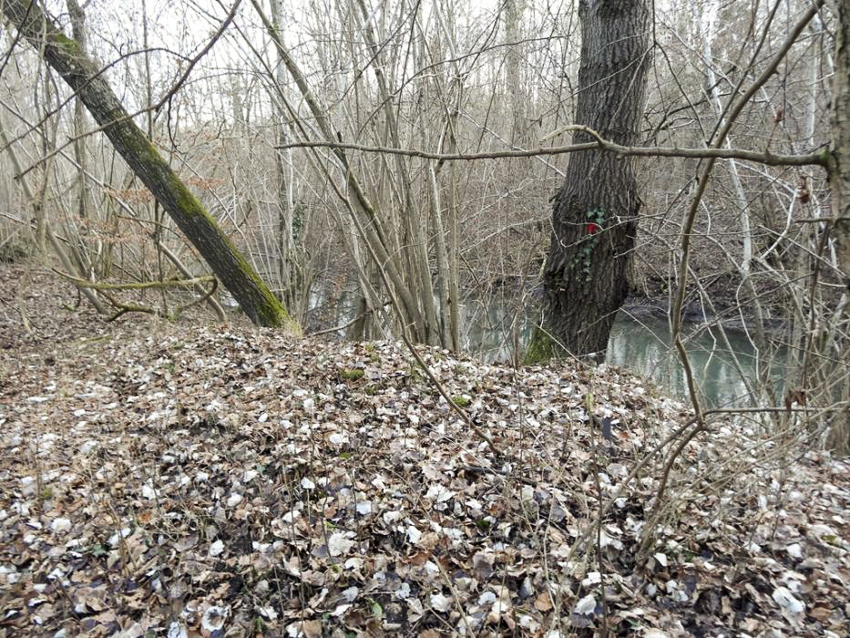 Ligne Maginot - PORT DU RHIN SUD 11 - (Blockhaus pour arme infanterie) - Emplacement du bloc, de nombreux débris de béton sont visibles sur le monticule à l’extrémité de la digue
