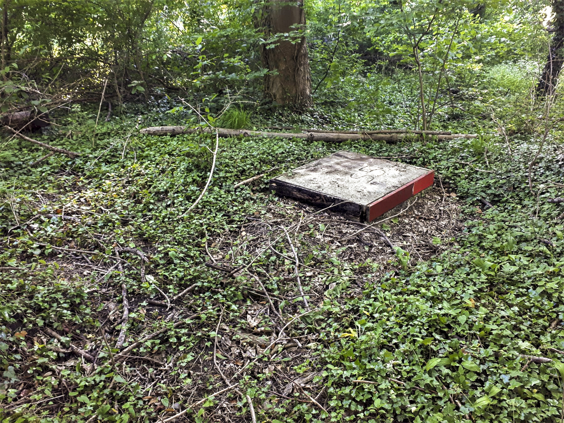 Ligne Maginot - S5 - (Chambre de coupure) - Chambre de coupure S5 - Les Gardiens du Rhin